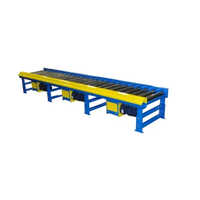 Pallet Conveyor System - Color: Blue And Yellow