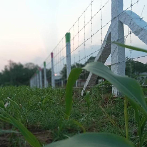 Gl Chain Link Fencing