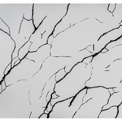Black Tree