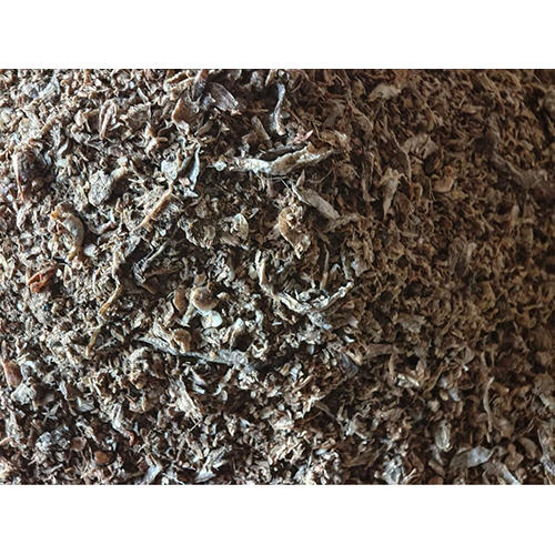 Dried Fish Meal Protein 45%