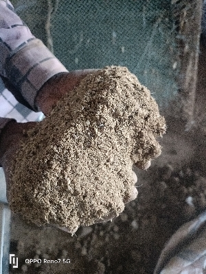 Dried Fish Meal Protein 45% - Color: Brown