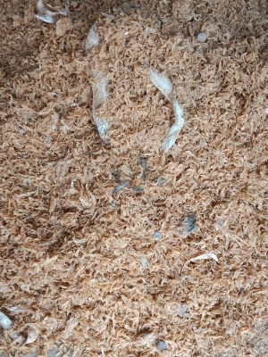 Dry Food Jawla