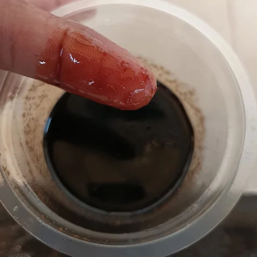 Crude Fish Oil