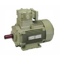 IE2-IE3 TEFC Flame Proof Motor