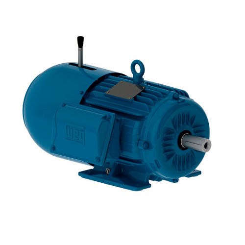 Brake Motor - Color: Blue Paint Coated