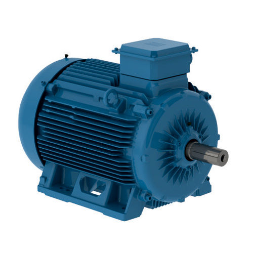 Induction Motor - Color: Blue Paint Coated