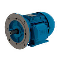 TEFC B5 D Flange Style Foot Mount