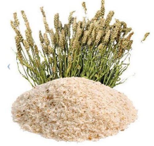 Psyllium Husk