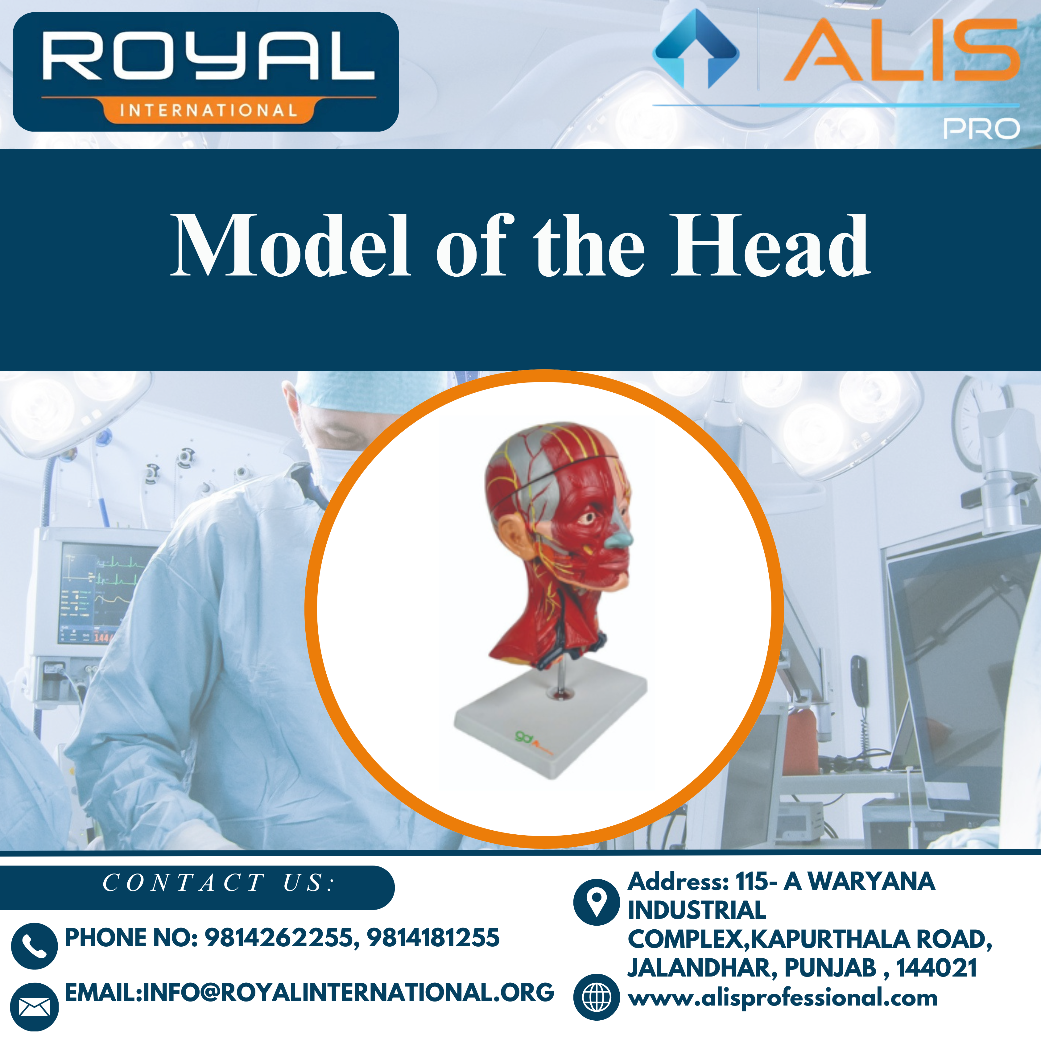 Model of the Head