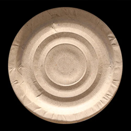 एक बार उपयोग करने योग्य थाली