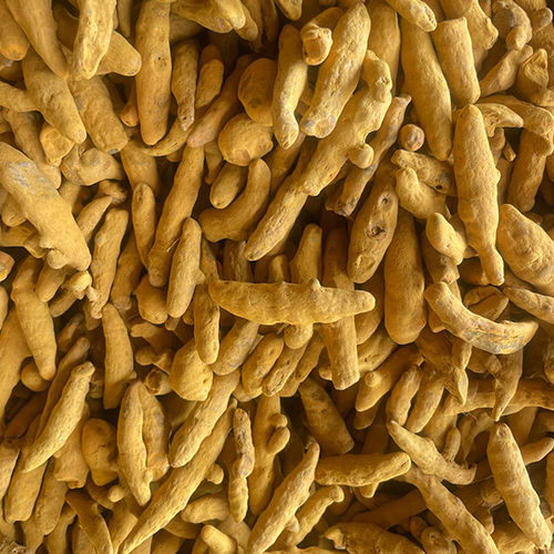 Whole Turmeric Finger - Color: Yellow