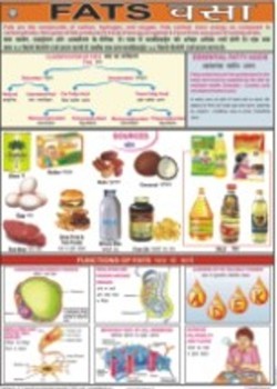 फुल कलर फैट्स चार्ट