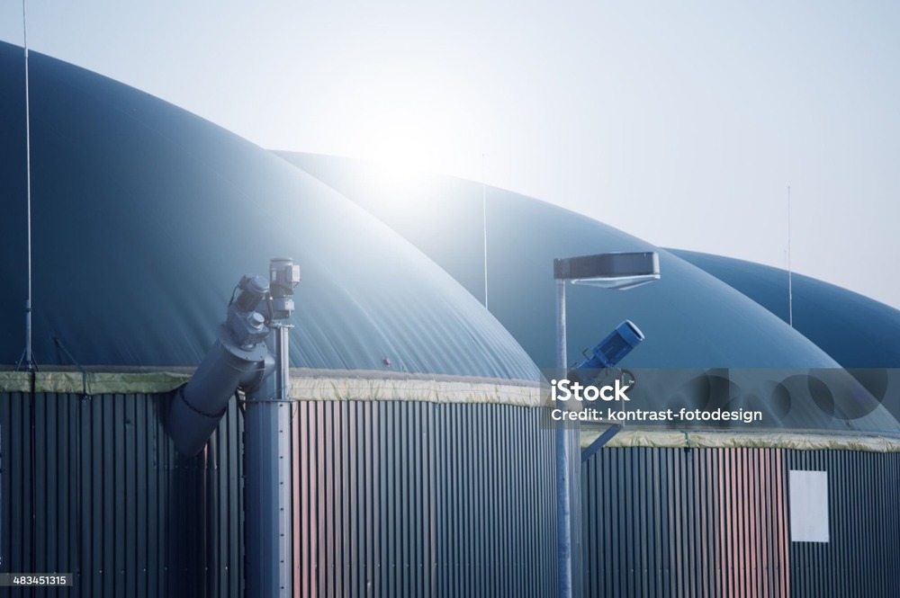 Cbg Plant Consultation Services