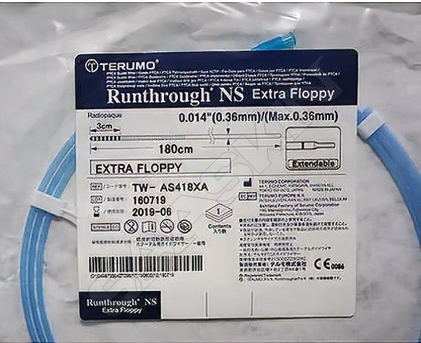 Terumo Runthrough NS Extra Floppy