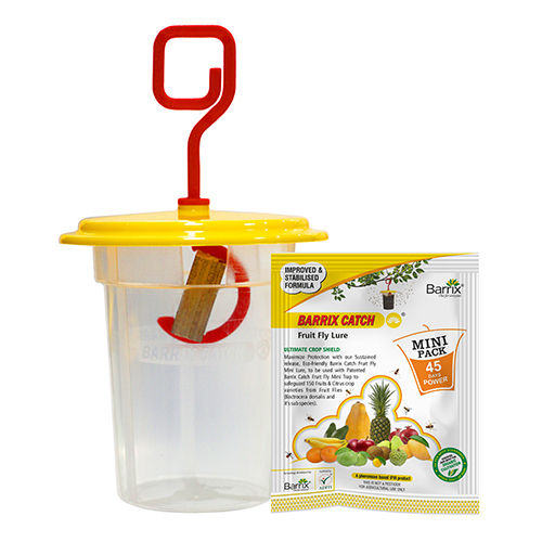 Mini Fruit Fly Trap And Lure Set - Material: Plastic