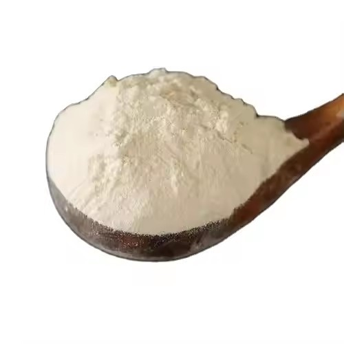 Construction Grade Hydroxyethyl Cellulose Hec 9004-62-0 - Density: 0.5 - 0.6 Gram Per Cubic Centimeter(g/cm3)