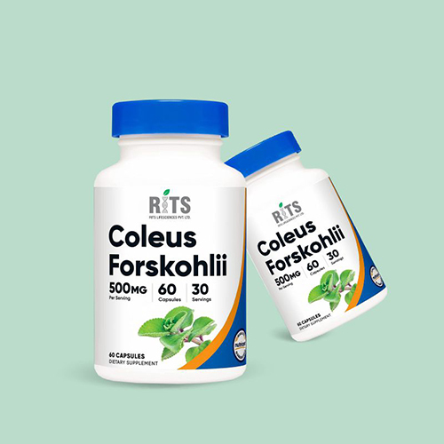 500mg Coleus Forskohlii Capsules