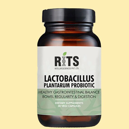 Lactobacillus Pantarum Probiotic Capsules
