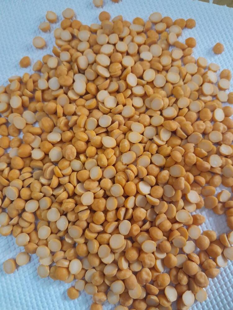 Australian Chana Dal - Color: Yellow