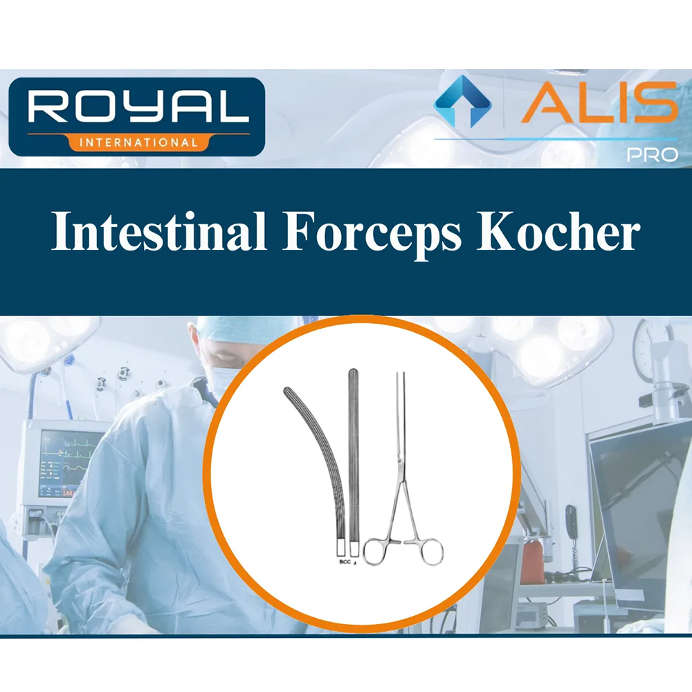 Intestinal Forceps Kocher