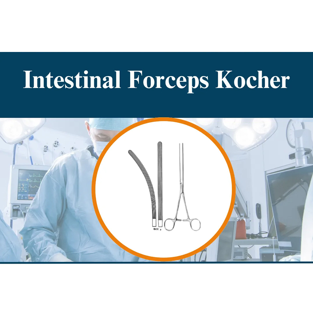 Intestinal Forceps Kocher - Stainless Steel, Standard Size | Polished, Reusable, Sterilized, Manual Operation, Waterproof, Portable