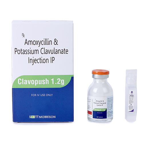 Amoxycillin And Potassium Clavulanate Injection Ip - Drug Type: General Medicines