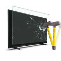 TV Screen Guard