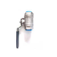 High Temperature Gate Valve - Color: Silver
