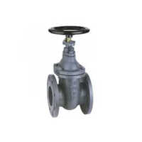 Cast Iron Valves - Color: Grey