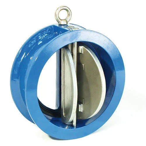 Dual Plate Check Valves
