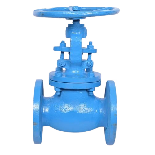 Din Globe Valves