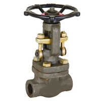 Forged Steel Globe Valve - Color: Grey