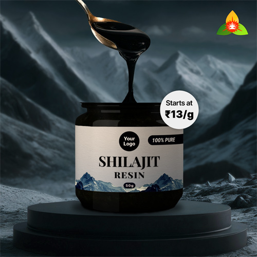 Shilajit Resin