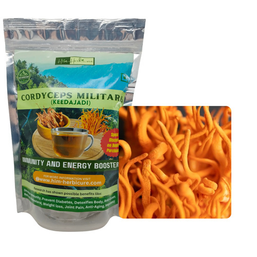 Cordyceps Militaris  Dried Fruiting Bodies