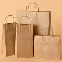 Kraft Brown Twisted Handle Paper Carry Bags