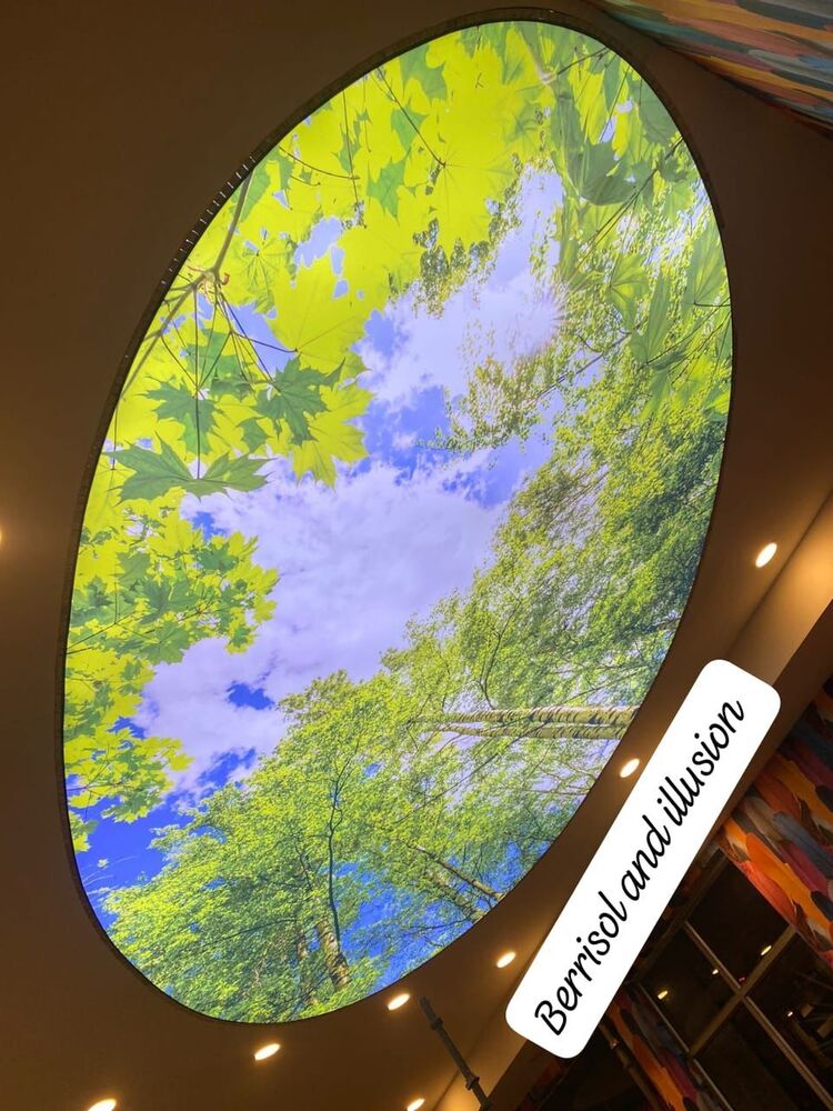 Rgbww Stretch Ceiling - Pattern: Customize