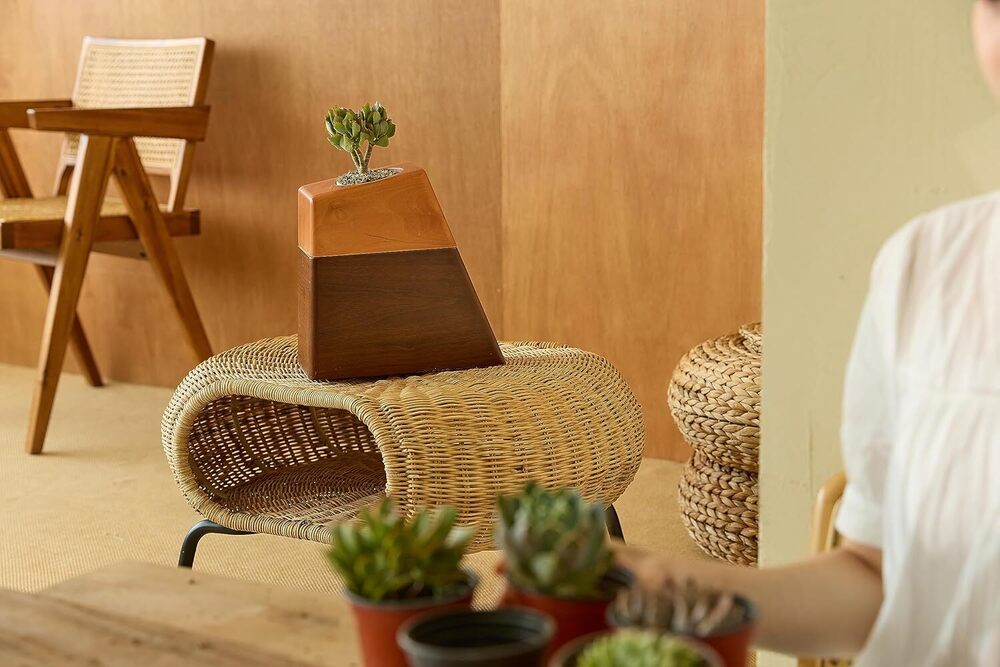 Plant Wood Cremation Urn for Ashes