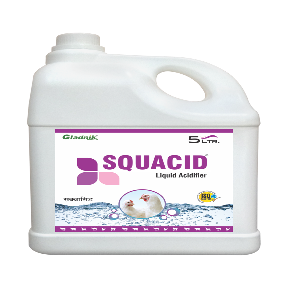 5l Squacid Liquid Acidifier - Color: White