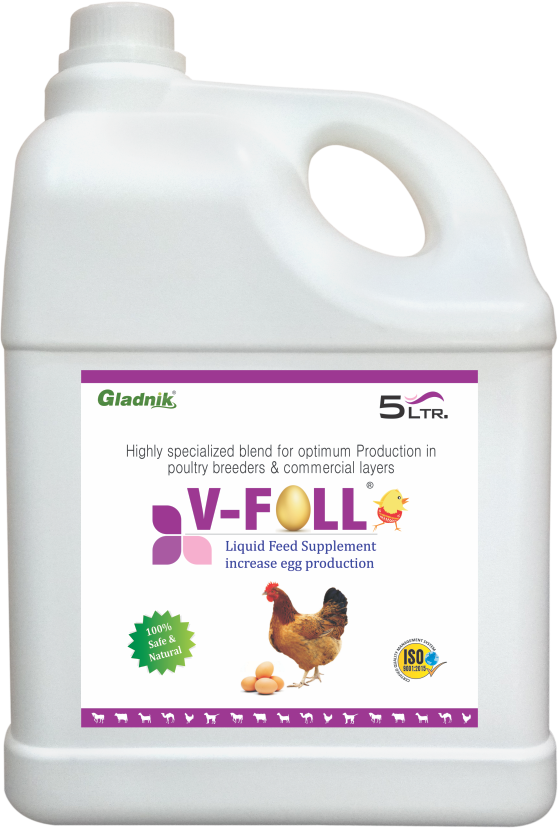 5L V-Foll Liquid Feed Supplement - Herbal Formula for Poultry | White Liquid, 12-24 Month Shelf Life, Nutrient-Rich