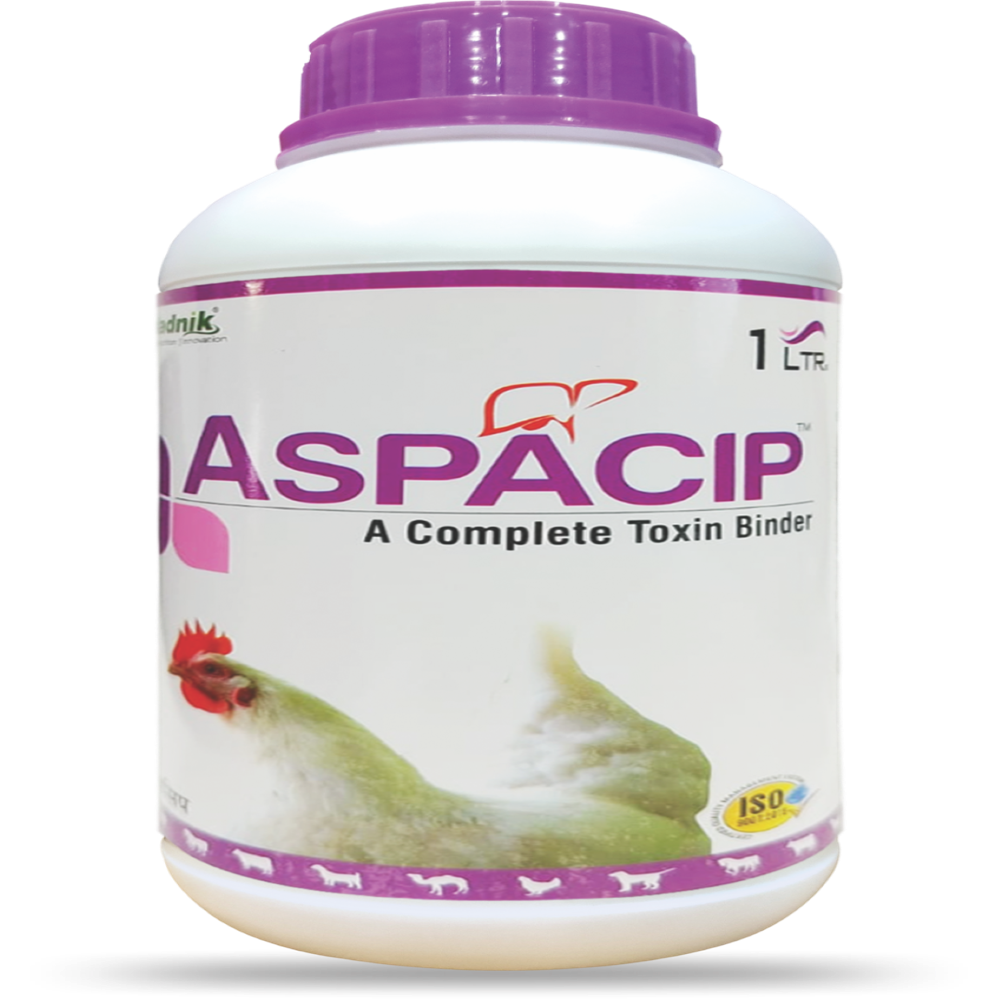 1L ASPACIP