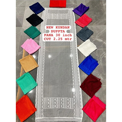 Fancy Dupatta Net Fabric - Color: White