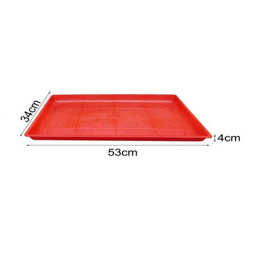 Chick Feeding Tray-Rectangle