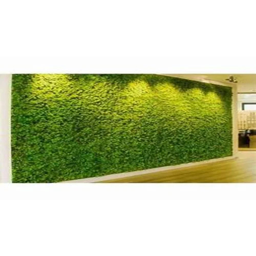 Indoor Artificial Green Wall