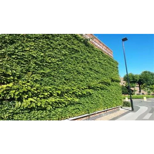 20mm PP Artificial Green Grass