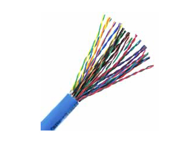25 जोड़ी CAT-5 LAN केबल्स