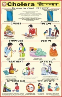 प्राकृतिक रंग हैजा चार्ट