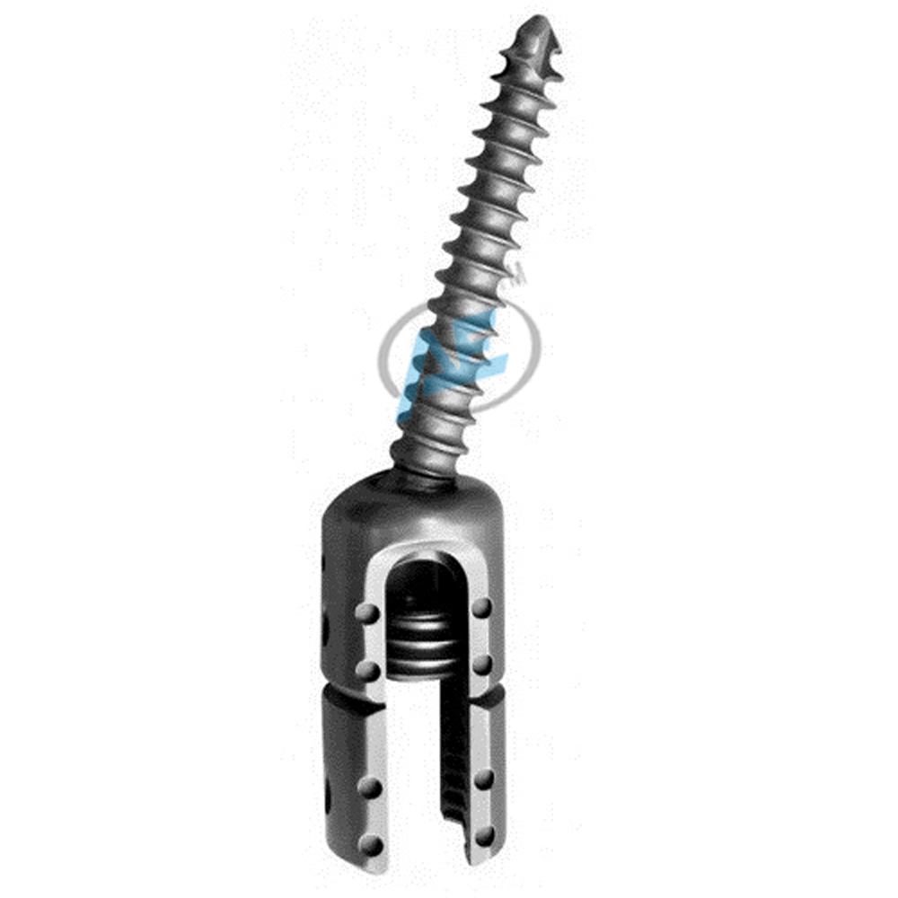 Poly reduction screw Titanium