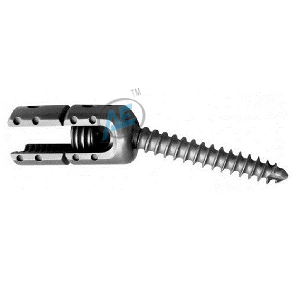 Poly Reduction Screw Titanium