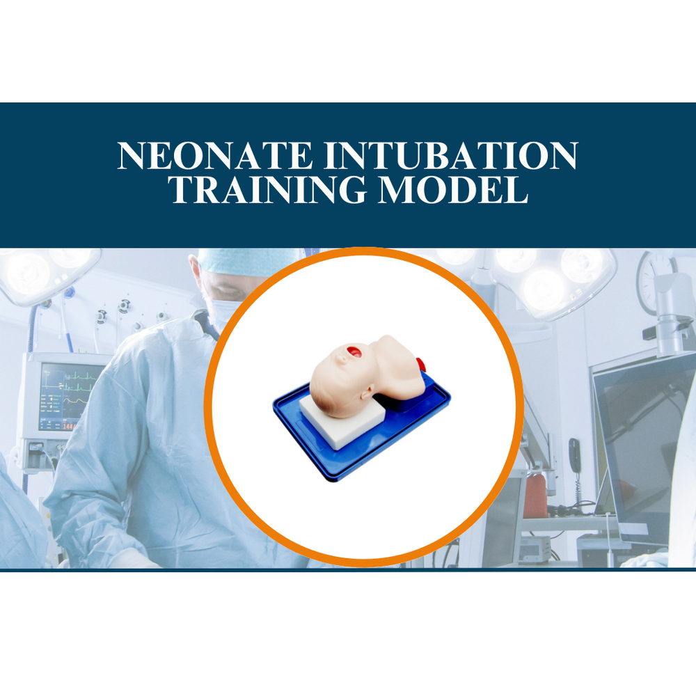 Neonate Intubation Training Model - Plastic Manual Operation | Durable & Sterilized for Practicing Neonatal Airway Management Skills