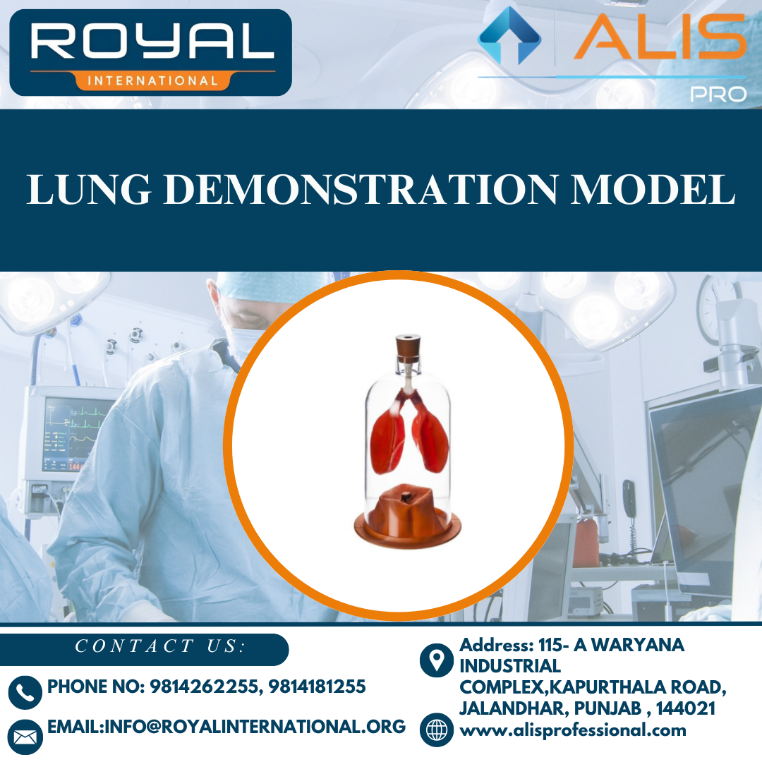 Lung Demonstration Model